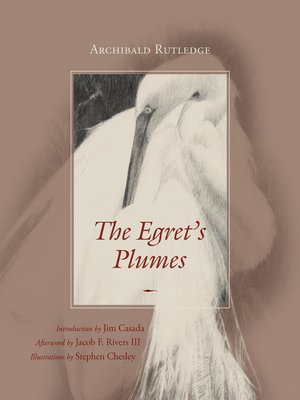 cover image of The Egret's Plumes